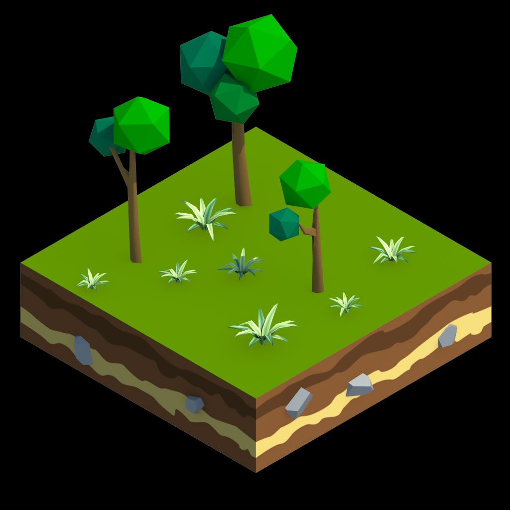 Ma maison — CAUE Var — arbre1x1 001