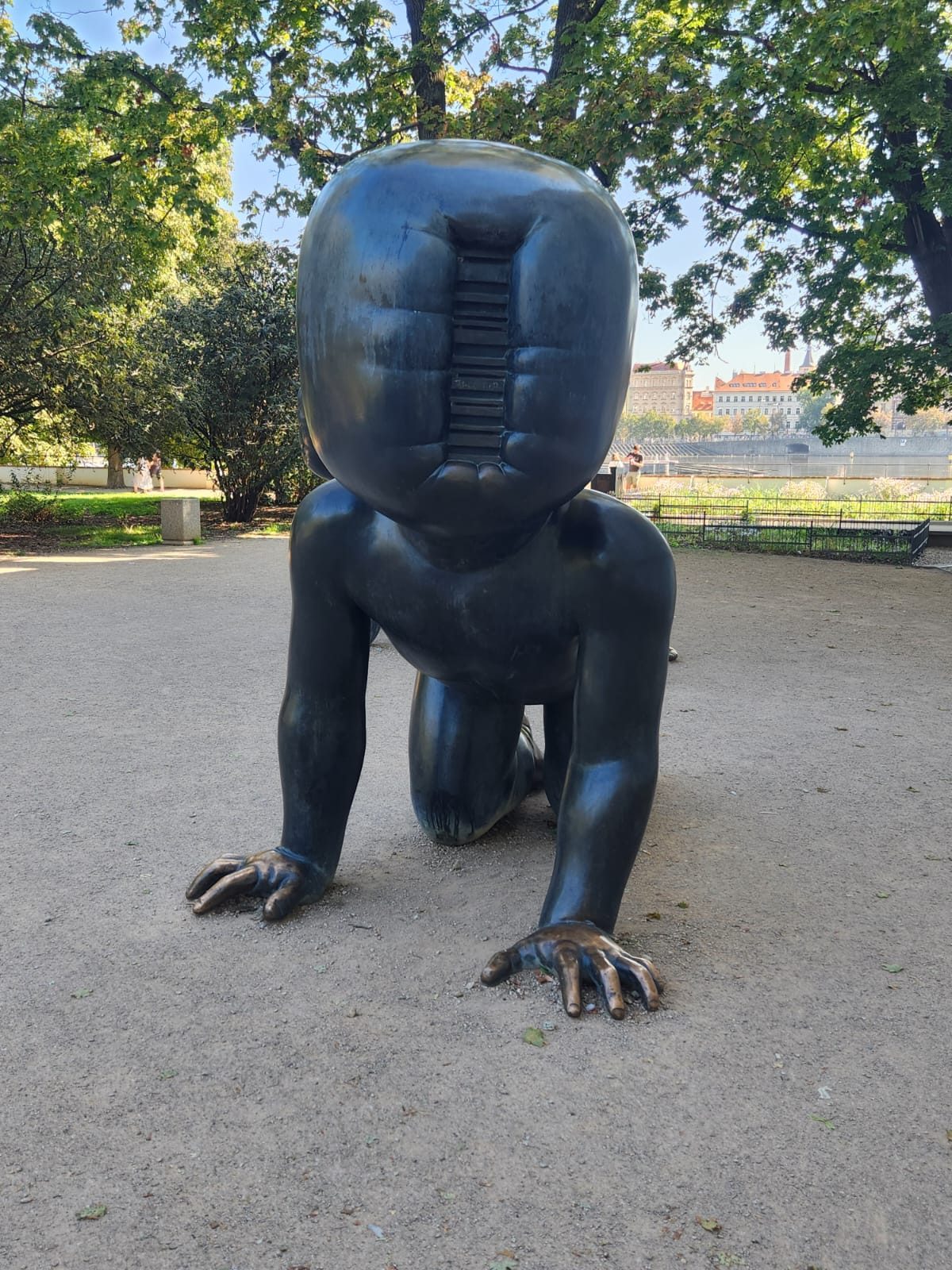 CMCAS — img 20240911 wa0026