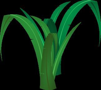 Travaux personnels — 20130306162825 8ccf71f0